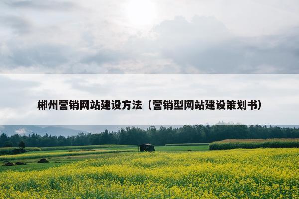 郴州营销网站建设方法（营销型网站建设策划书）-第1张图片-冷动云