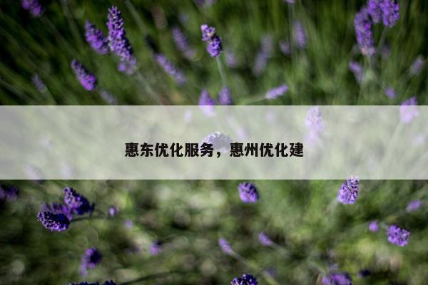 惠东优化服务，惠州优化建-第1张图片-冷动云