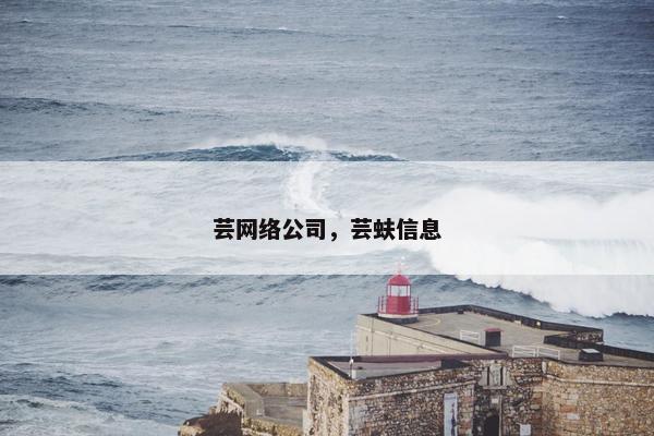 芸网络公司，芸蚨信息-第1张图片-冷动云
