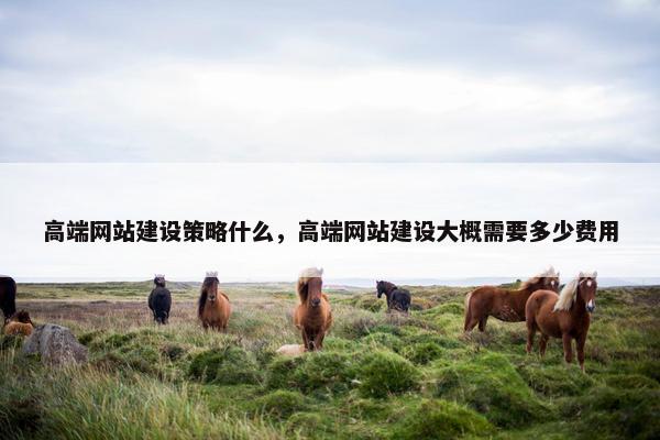 高端网站建设策略什么，高端网站建设大概需要多少费用-第1张图片-冷动云