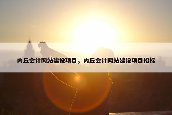 内丘会计网站建设项目，内丘会计网站建设项目招标-第1张图片-冷动云
