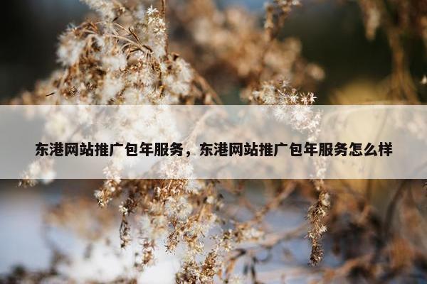 东港网站推广包年服务，东港网站推广包年服务怎么样-第1张图片-冷动云