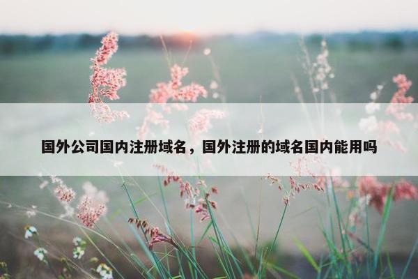 国外公司国内注册域名，国外注册的域名国内能用吗-第1张图片-冷动云