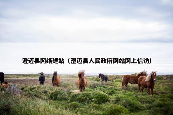 澄迈县网络建站（澄迈县人民政府网站网上信访）-第1张图片-冷动云