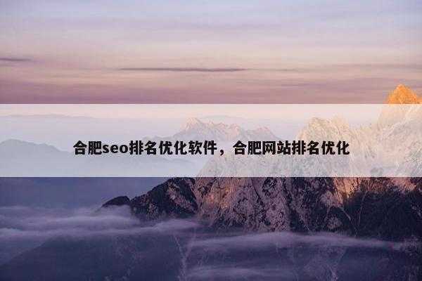合肥seo排名优化软件，合肥网站排名优化-第1张图片-冷动云