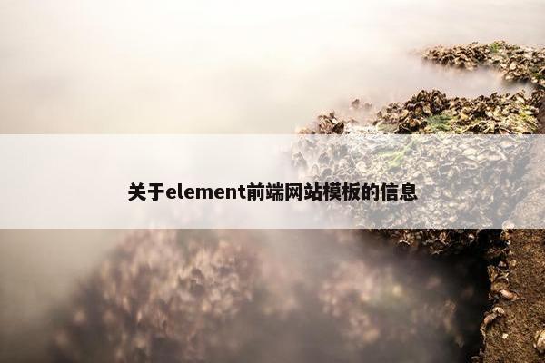 关于element前端网站模板的信息-第1张图片-冷动云