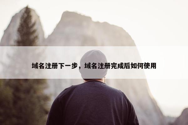 域名注册下一步，域名注册完成后如何使用-第1张图片-冷动云