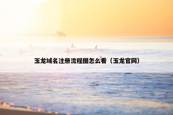 玉龙域名注册流程图怎么看（玉龙官网）-第1张图片-冷动云