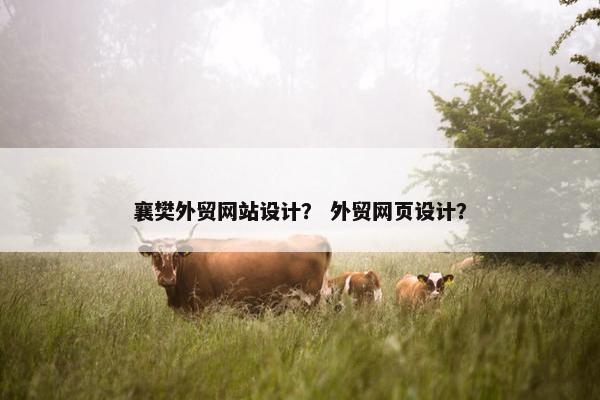 襄樊外贸网站设计？ 外贸网页设计？-第1张图片-冷动云