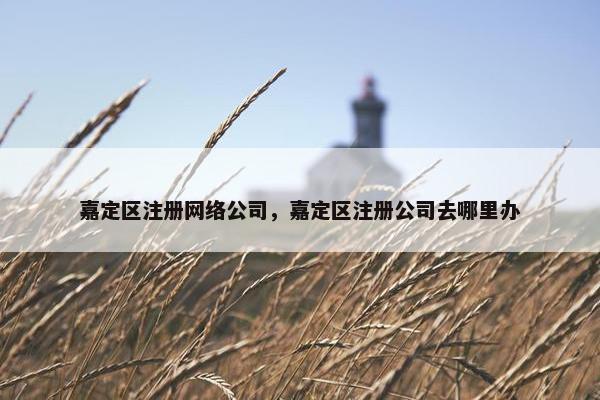 嘉定区注册网络公司，嘉定区注册公司去哪里办-第1张图片-冷动云