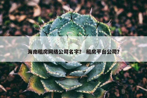 海南租房网络公司名字？ 租房平台公司？-第1张图片-冷动云