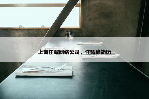 上海任耀网络公司，任耀峰简历-第1张图片-冷动云