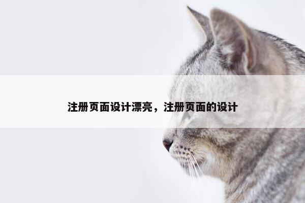 注册页面设计漂亮，注册页面的设计-第1张图片-冷动云