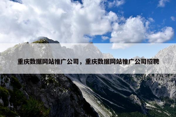 重庆数据网站推广公司，重庆数据网站推广公司招聘-第1张图片-冷动云
