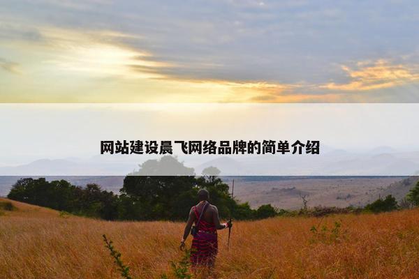网站建设晨飞网络品牌的简单介绍-第1张图片-冷动云