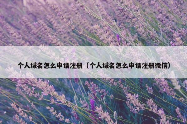 个人域名怎么申请注册（个人域名怎么申请注册微信）-第1张图片-冷动云