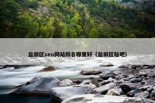 盐田区seo网站排名哪里好（盐田区贴吧）-第1张图片-冷动云