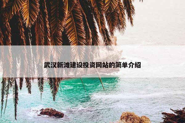 武汉新滩建设投资网站的简单介绍-第1张图片-冷动云
