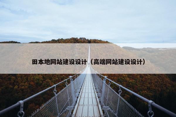 田本地网站建设设计（高端网站建设设计）-第1张图片-冷动云