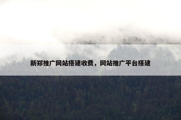 新郑推广网站搭建收费，网站推广平台搭建-第1张图片-冷动云