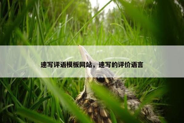 速写评语模板网站，速写的评价语言-第1张图片-冷动云