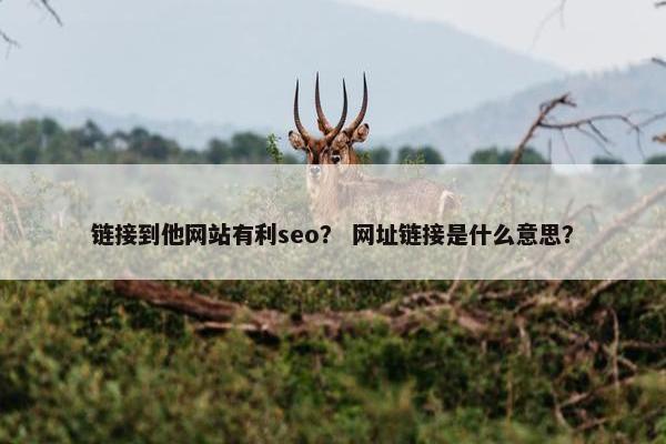 链接到他网站有利seo？ 网址链接是什么意思？-第1张图片-冷动云
