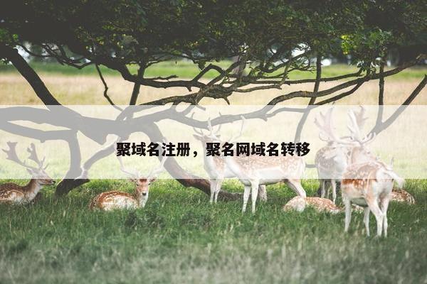 聚域名注册，聚名网域名转移-第1张图片-冷动云