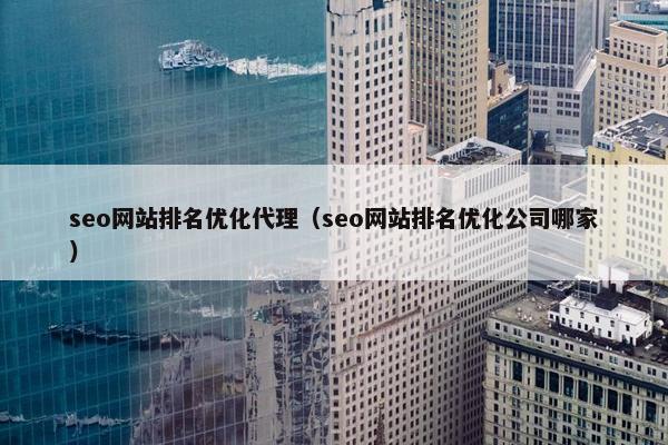 seo网站排名优化代理（seo网站排名优化公司哪家）-第1张图片-冷动云