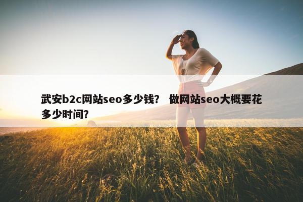 武安b2c网站seo多少钱？ 做网站seo大概要花多少时间？-第1张图片-冷动云