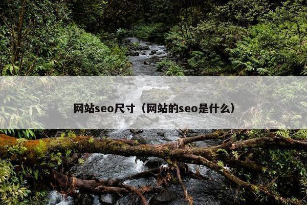 网站seo尺寸（网站的seo是什么）-第1张图片-冷动云