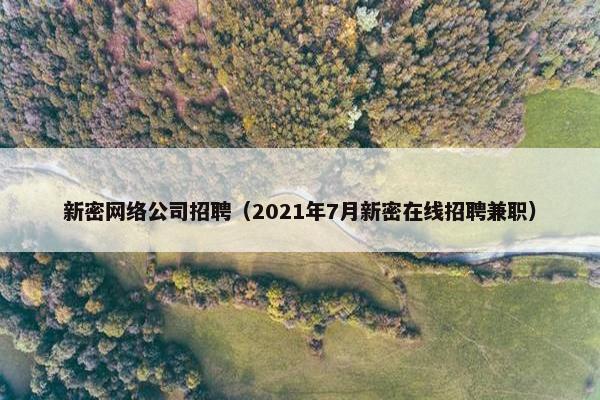 新密网络公司招聘（2021年7月新密在线招聘兼职）-第1张图片-冷动云