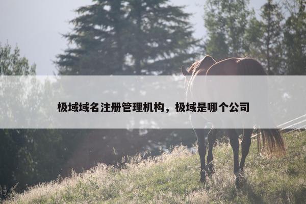 极域域名注册管理机构，极域是哪个公司-第1张图片-冷动云
