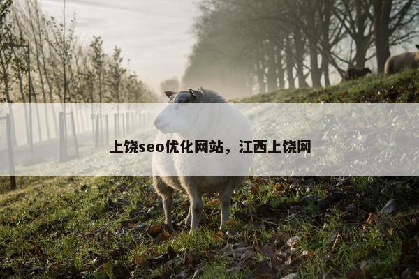 上饶seo优化网站，江西上饶网-第1张图片-冷动云