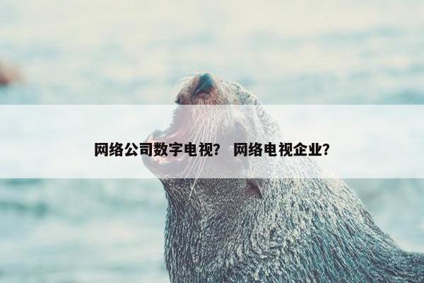 网络公司数字电视？ 网络电视企业？-第1张图片-冷动云