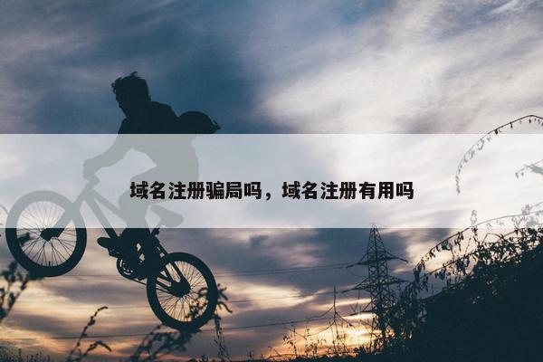 域名注册骗局吗，域名注册有用吗-第1张图片-冷动云
