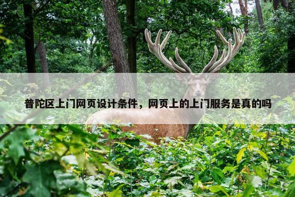 普陀区上门网页设计条件，网页上的上门服务是真的吗-第1张图片-冷动云
