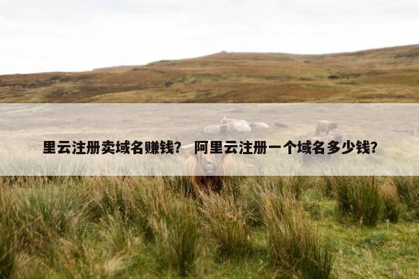 里云注册卖域名赚钱？ 阿里云注册一个域名多少钱？-第1张图片-冷动云