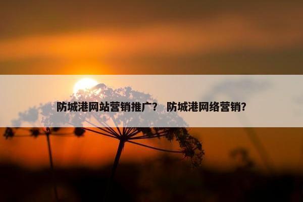 防城港网站营销推广？ 防城港网络营销？-第1张图片-冷动云