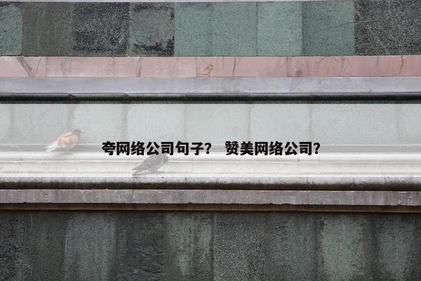 夸网络公司句子？ 赞美网络公司？-第1张图片-冷动云