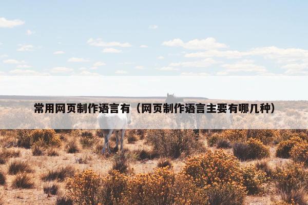 常用网页制作语言有（网页制作语言主要有哪几种）-第1张图片-冷动云