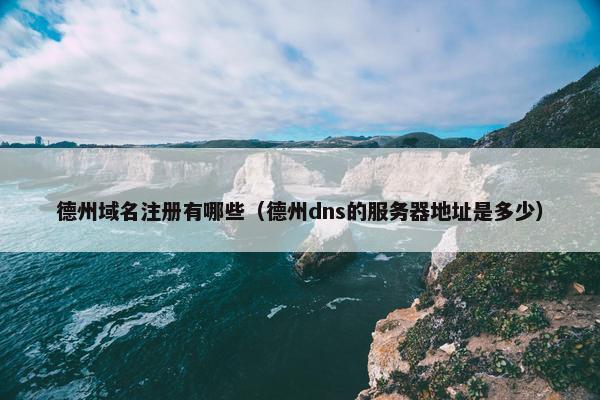 德州域名注册有哪些（德州dns的服务器地址是多少）-第1张图片-冷动云