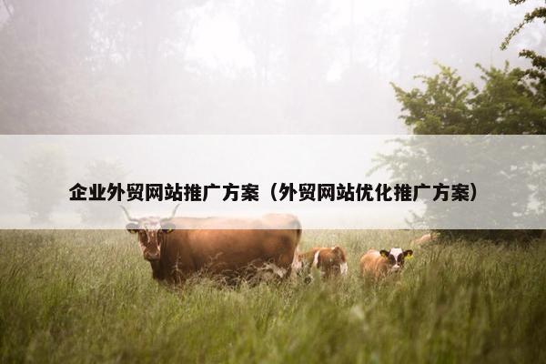 企业外贸网站推广方案（外贸网站优化推广方案）-第1张图片-冷动云