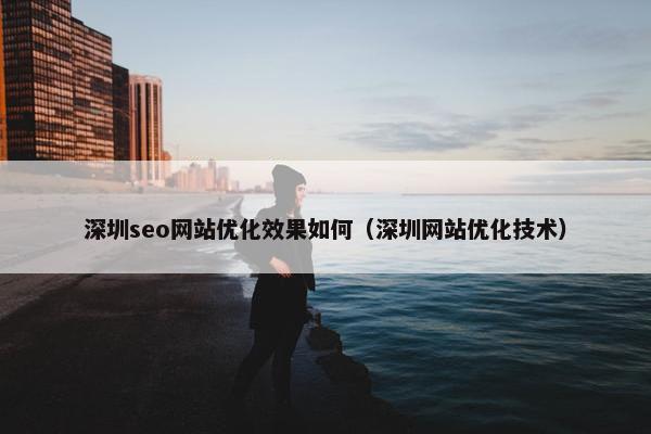 深圳seo网站优化效果如何（深圳网站优化技术）-第1张图片-冷动云