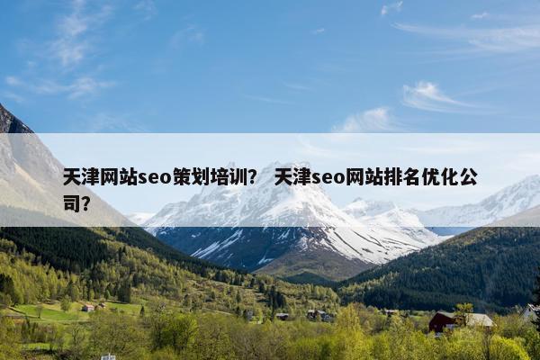 天津网站seo策划培训？ 天津seo网站排名优化公司？-第1张图片-冷动云