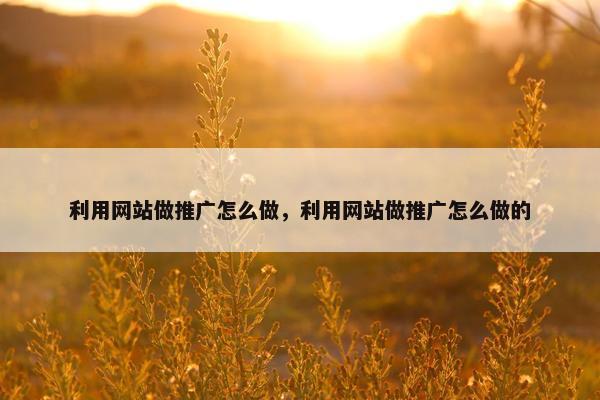 利用网站做推广怎么做，利用网站做推广怎么做的-第1张图片-冷动云