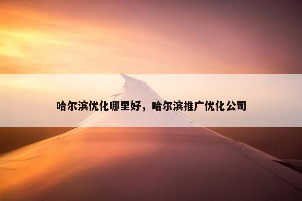 哈尔滨优化哪里好，哈尔滨推广优化公司-第1张图片-冷动云
