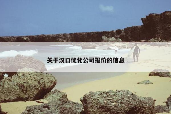 关于汉口优化公司报价的信息-第1张图片-冷动云