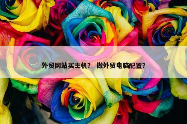 外贸网站买主机？ 做外贸电脑配置？-第1张图片-冷动云