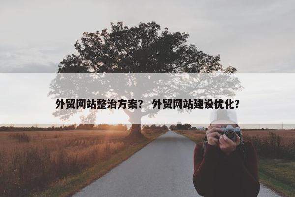 外贸网站整治方案？ 外贸网站建设优化？-第1张图片-冷动云