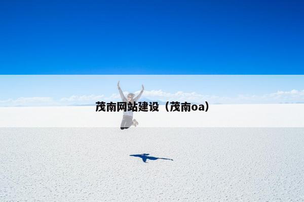 茂南网站建设（茂南oa）-第1张图片-冷动云